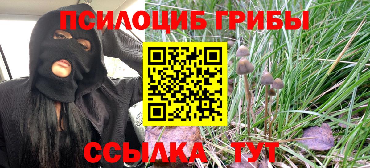 Галлюциногенные грибы мицелий  Вход с VPN  Красноармейск 